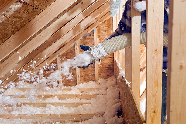 Eco-Friendly Insulation Solutions in Fyffe, AL